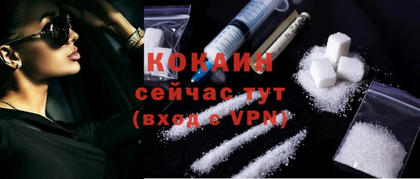кокс Алексин