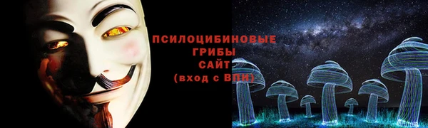 амф Алексеевка