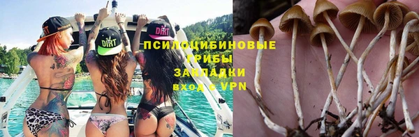 амф Алексеевка