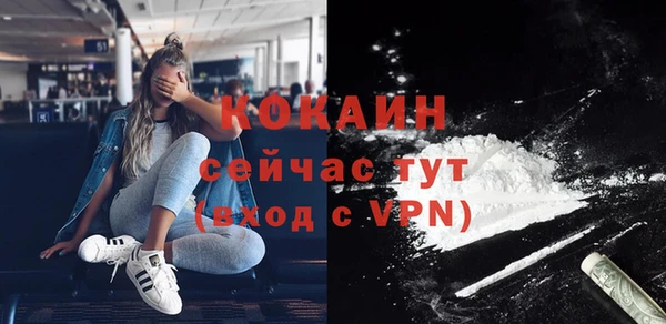 стафф Алзамай