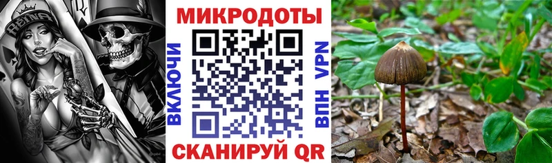 наркотики  OMG ссылка  Галлюциногенные грибы ЛСД  Константиновск 